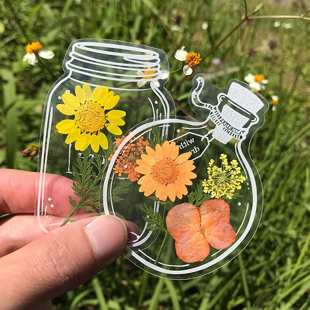 20Pcs DIY Transparent Dried Fl - Dried Flower Bookmark recensie en prijs